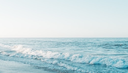 葉月ねここ ポートフォリオ（Hazuki Nekoko Portfolio）